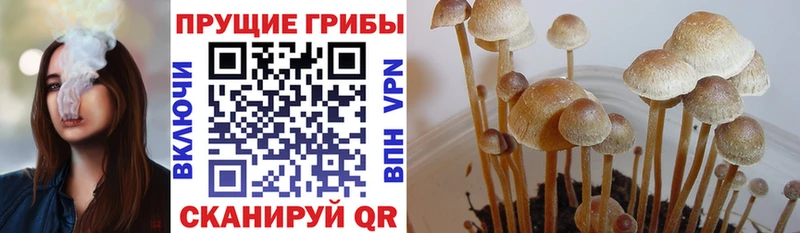 Галлюциногенные грибы GOLDEN TEACHER  Улан-Удэ 