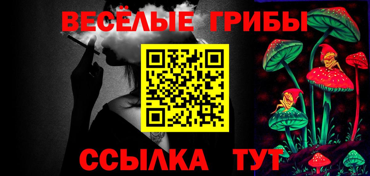 Псилоцибиновые грибы MAGIC MUSHROOMS  как найти закладки  Улан-Удэ  Галлюциногенные грибы Psilocybe  Вход с VPN 